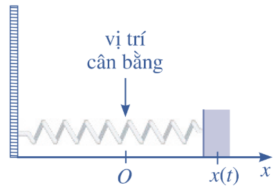 Hình minh họa câu hỏi